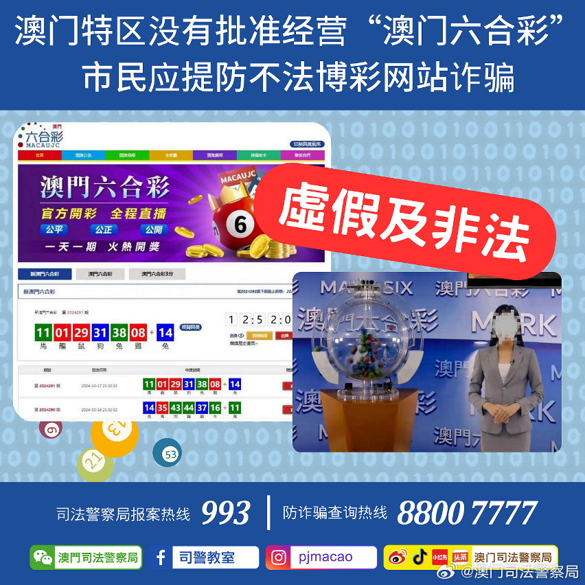 2024澳门王中王100%期期中,精选解释解析