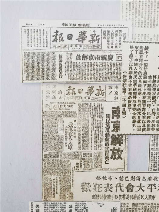 2025年新跑狗图最新版跑狗图,探索2025年新跑狗图，最新版跑狗图的解析与预测