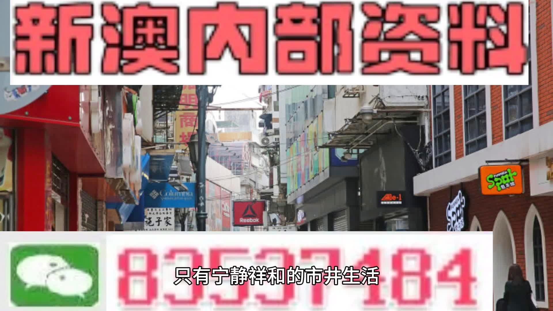 新奥门天天免费正版资料,新澳门天天免费正版资料的重要性及其影响