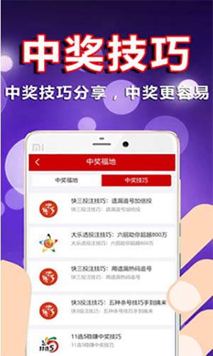 新澳门彩天天开奖结果查询,新澳门彩天天开奖结果查询，探索彩票世界的魅力与机遇