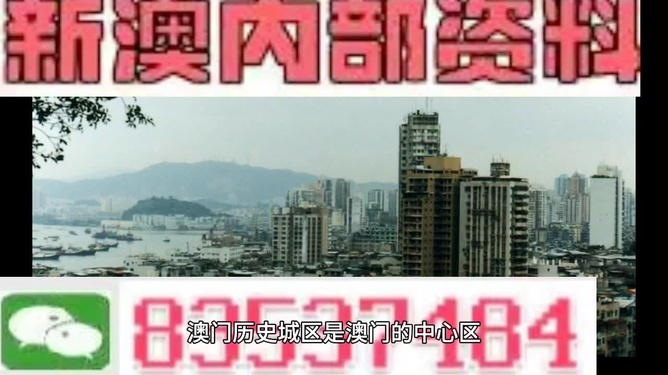 新澳门全年免费料,新澳门全年免费料，探索未知的奥秘与魅力
