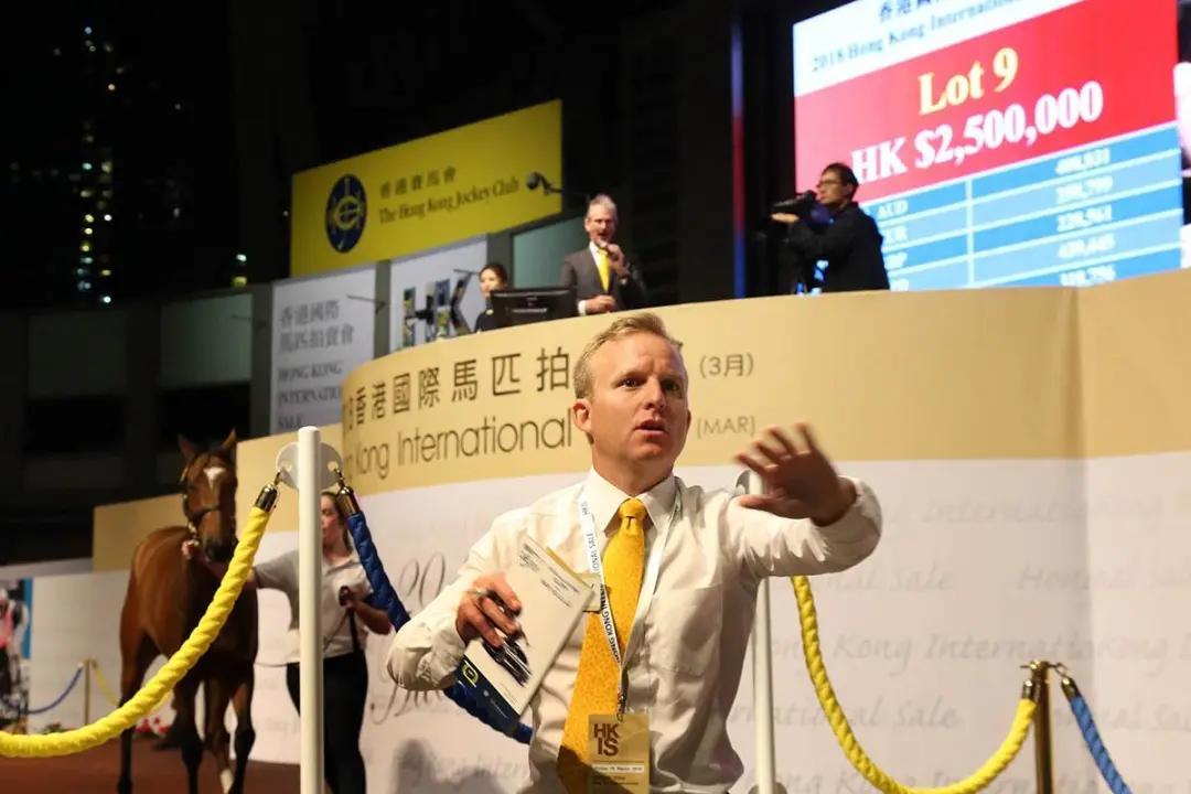 香港赛马免费公开资料大全,香港赛马免费公开资料大全，探索赛马文化的魅力与机遇