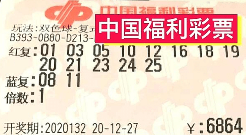 新奥天天开奖资料大全600Tk,新奥天天开奖资料大全600Tk，深度解析与前瞻性探讨