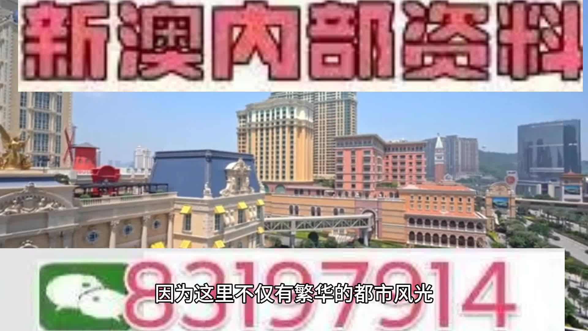 澳门今晚特马开什么号,澳门今晚特马号码预测与解读