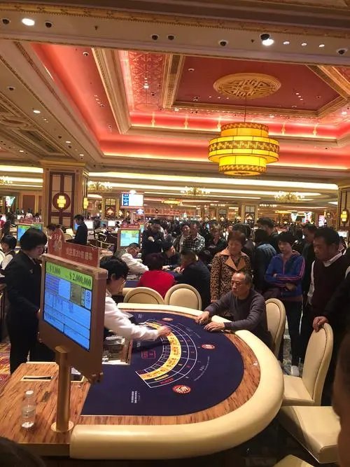 777788888新澳门开奖,探索新澳门开奖的奥秘，7777与8888的魅力