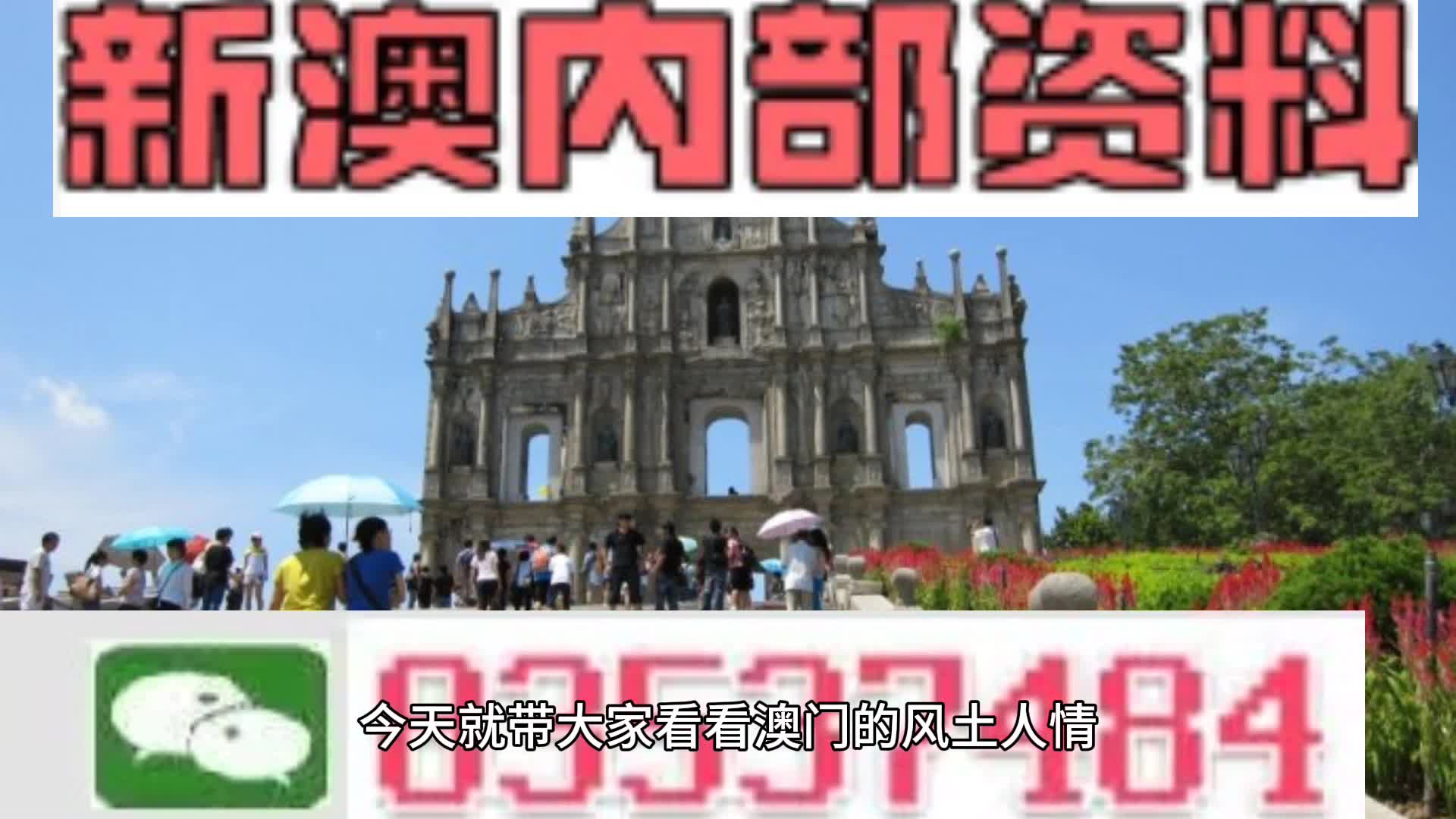 新澳2025今晚王中王免费资料,新澳2025今晚王中王免费资料解析与预测