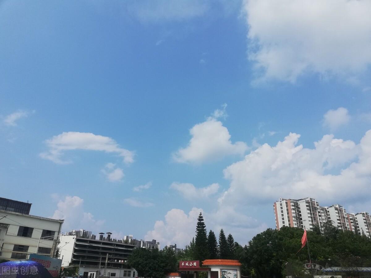正版资料免费资料大全9点半,正版资料与免费资料大全，探寻知识的宝库，始于9点半