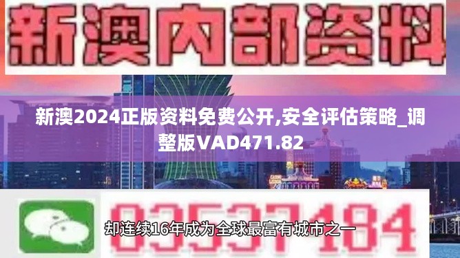 2004新澳正版兔费大全,探索新澳正版兔费大全的魅力，一场知识与娱乐的盛宴（2004年回顾）