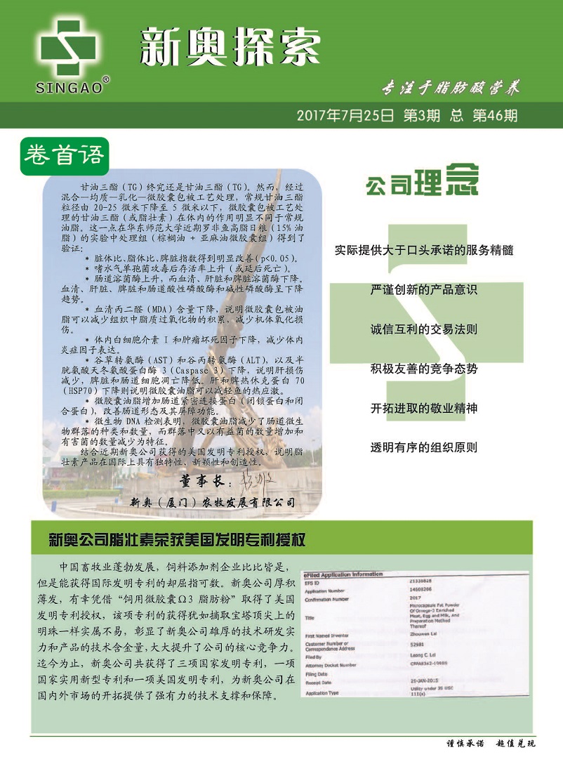 2025新奥资料免费精准109,探索未来，2025新奥资料免费精准共享之道（109细节解析）
