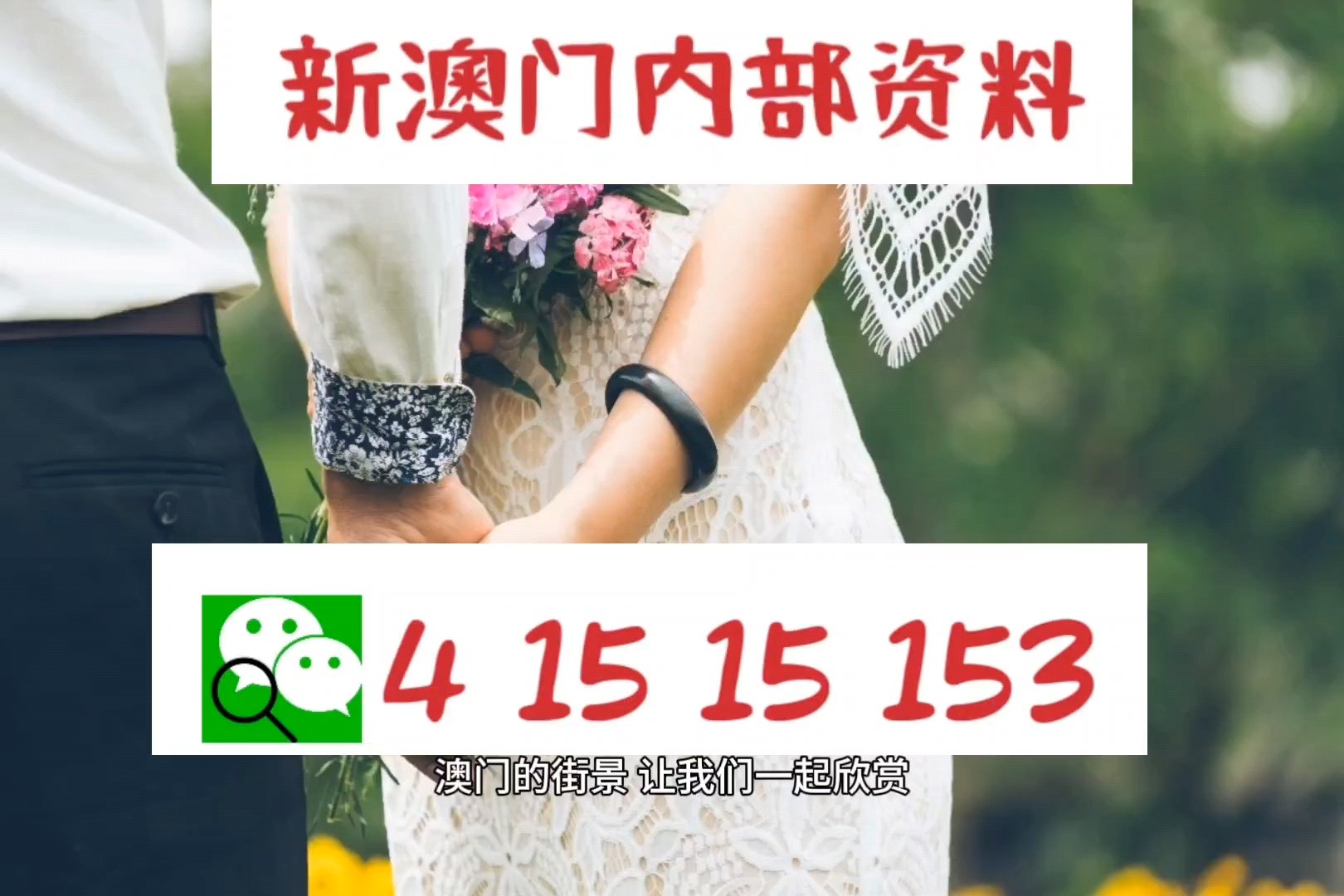 澳门正版挂牌之全篇免费,澳门正版挂牌之全篇，探索正版文化的魅力与价值