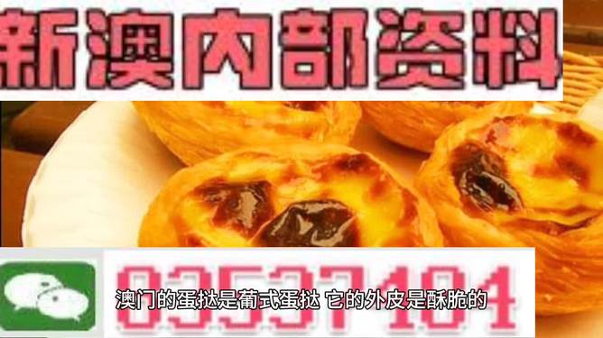 新澳门正版资料大全介绍,新澳门正版资料大全介绍